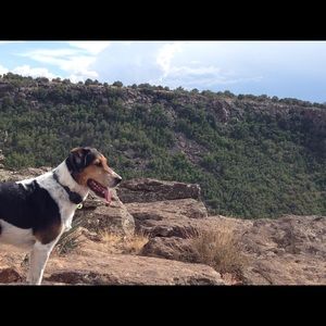 Meet your Posher, Olivia